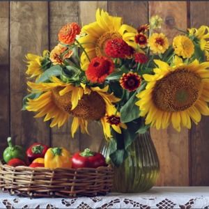 Meet your Posher, Debra e